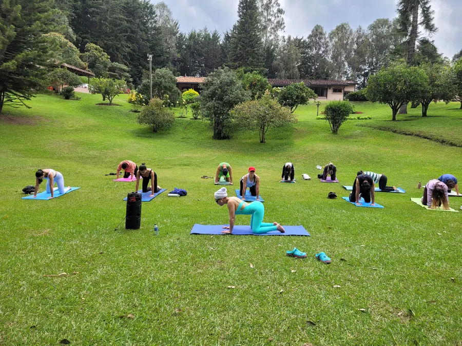 Yoga en el prado, Ritual de Fin de Año 2025
